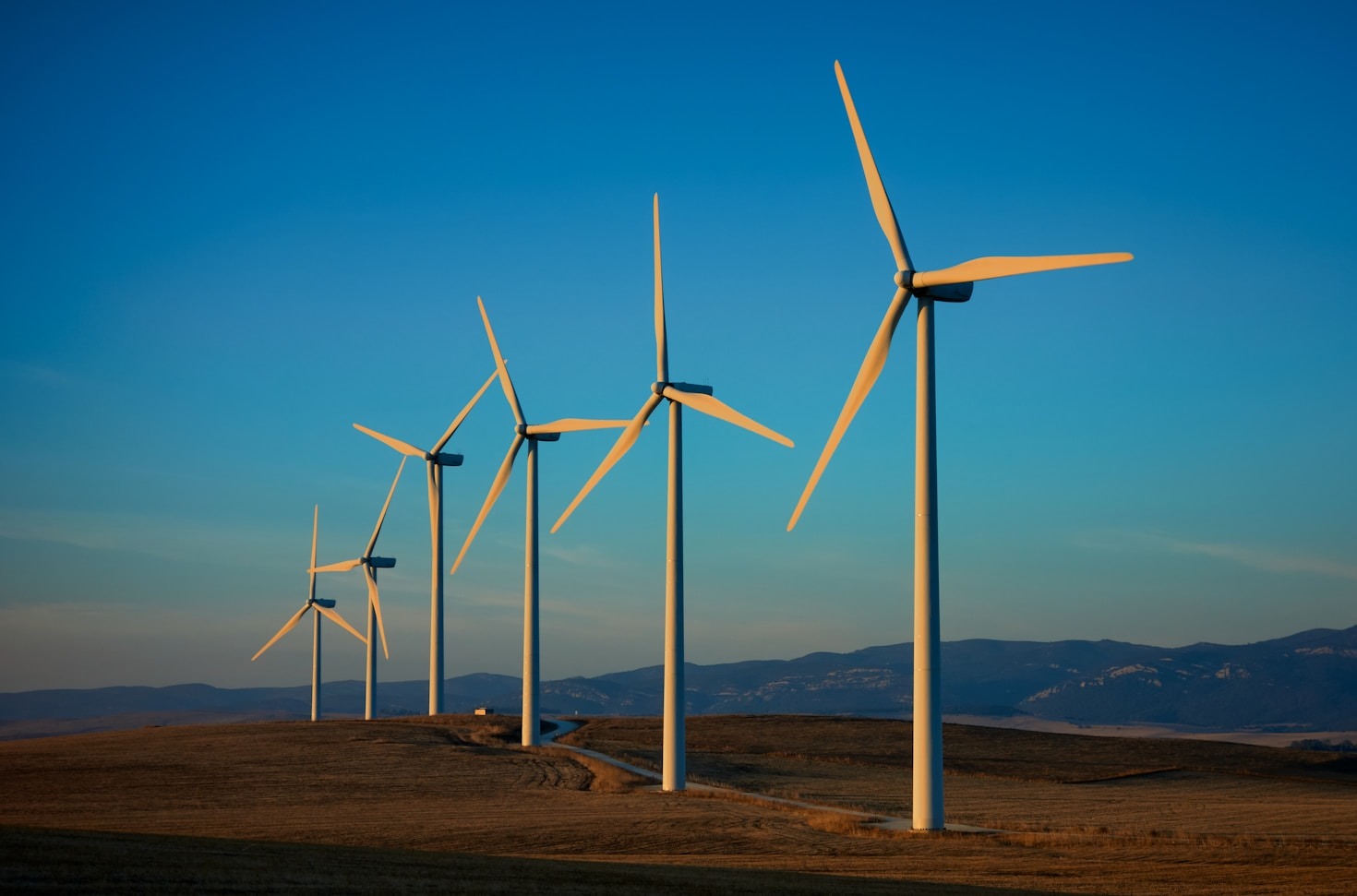 Global Partnerships for Sustainable Community Development